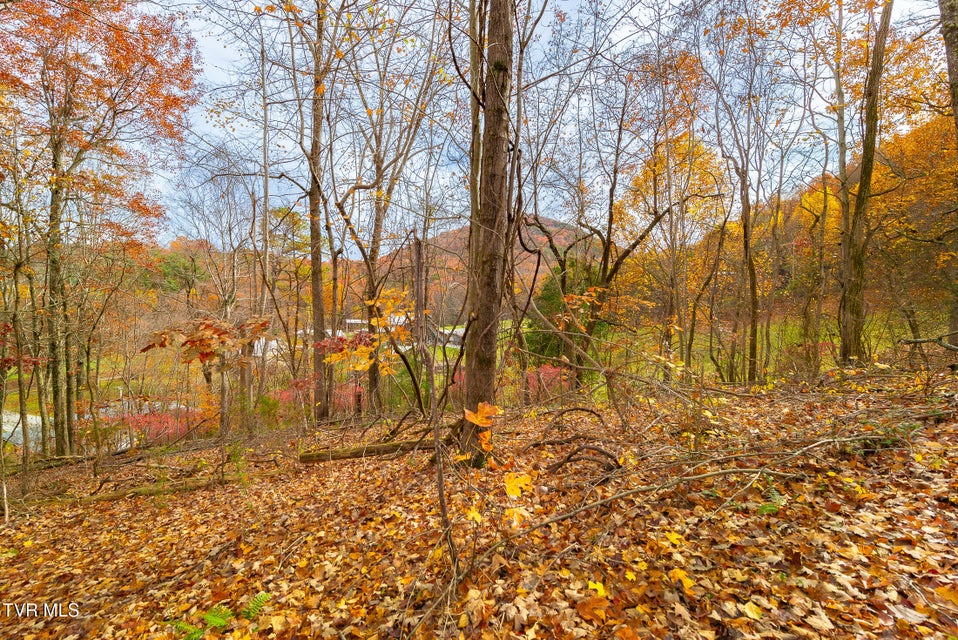 Photo #6: 0 Siam Road