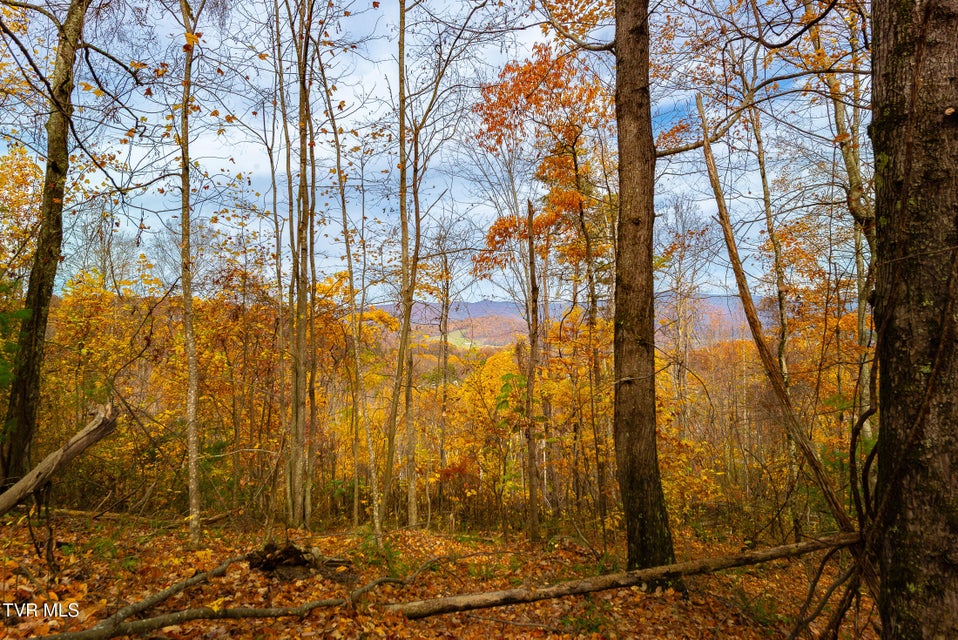 Photo #37: 0 Siam Road