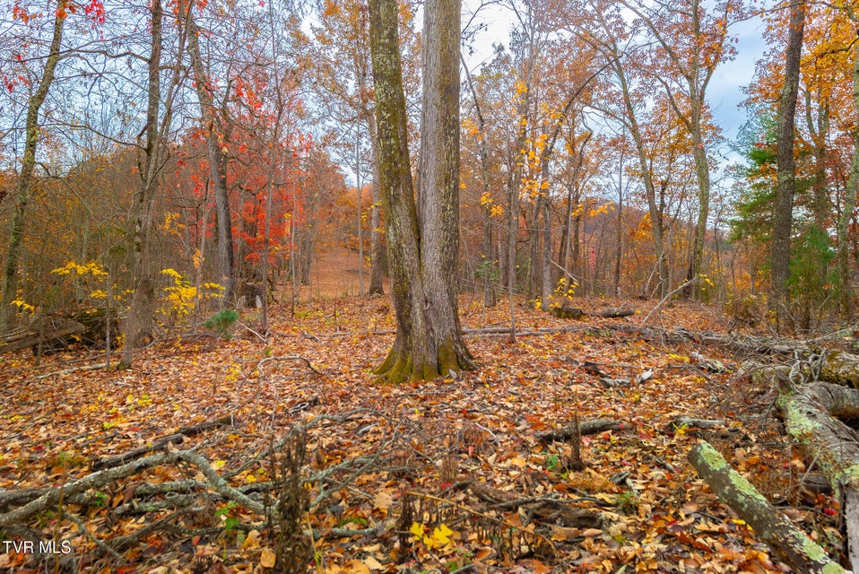 Photo #38: 0 Siam Road