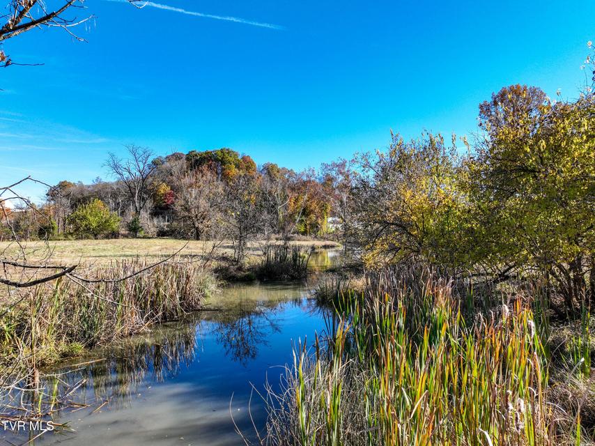 Photo #48: 940 Shipp Street