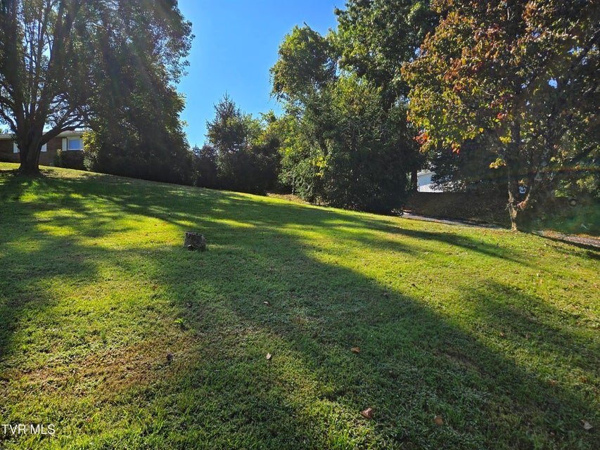 Photo #32: 720 Mohawk Drive