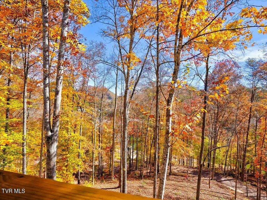 Photo #52: 146 Paradise Point