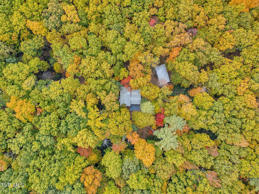 Photo #5: 300 Peavine Way