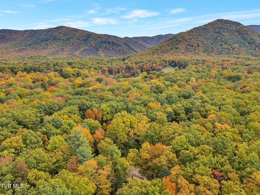 Photo #9: 300 Peavine Way