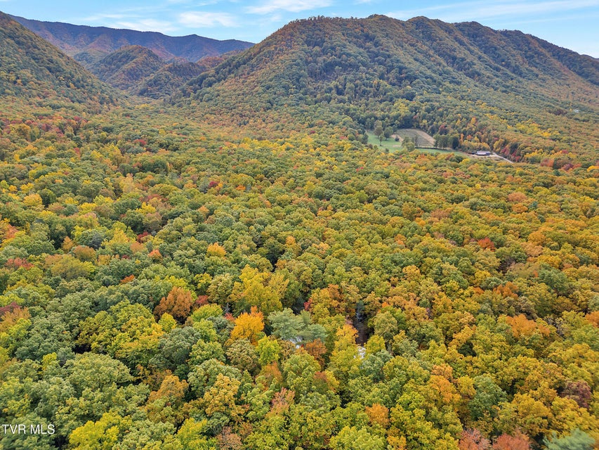 Photo #10: 300 Peavine Way