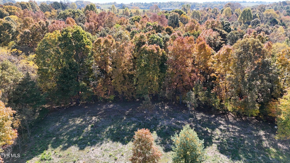 Photo #40: Tr 17 Newport Highway