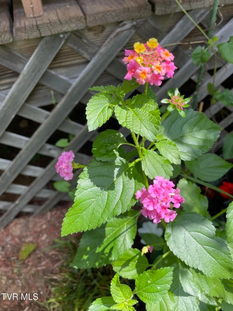 Photo #76: 5191 Highway 421 