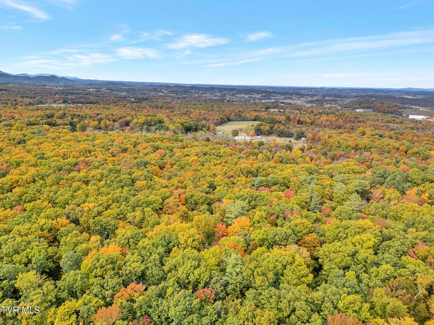 Photo #54: 300 Peavine Way