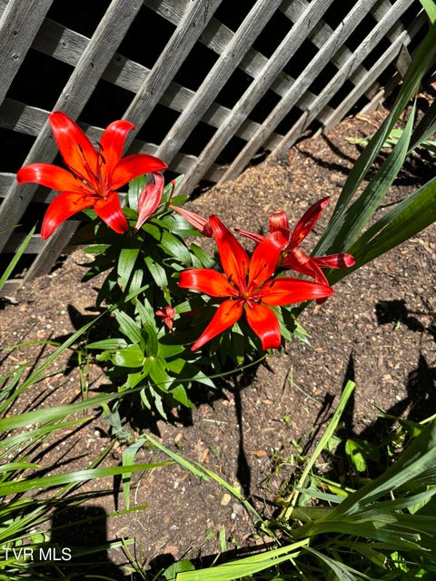 Photo #74: 5191 Highway 421 