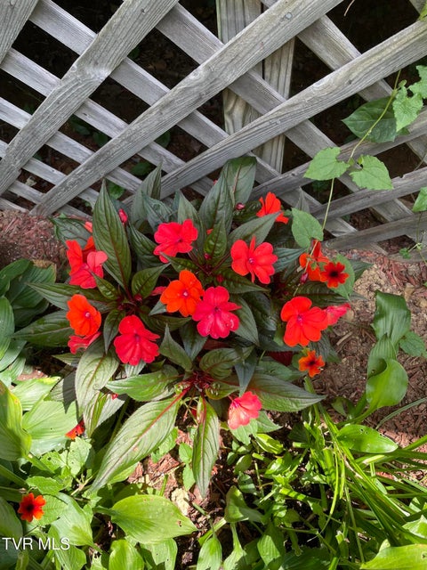 Photo #77: 5191 Highway 421 