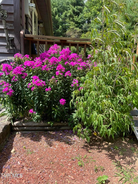 Photo #78: 5191 Highway 421 