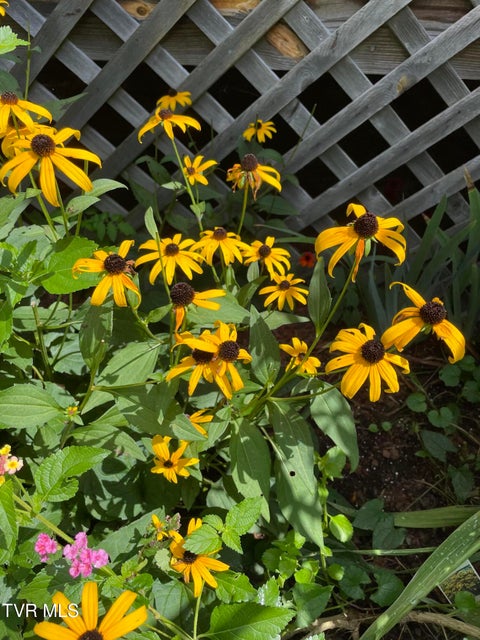 Photo #79: 5191 Highway 421 