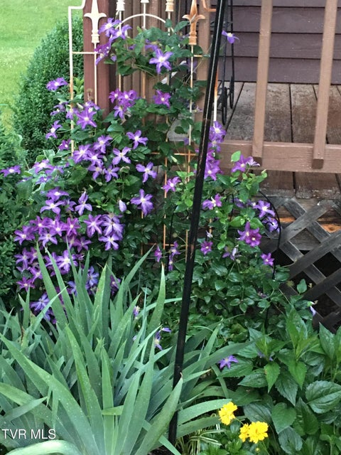 Photo #80: 5191 Highway 421 