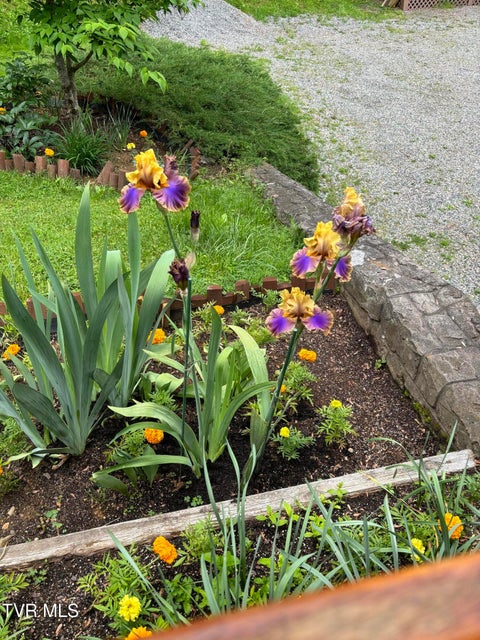 Photo #81: 5191 Highway 421 