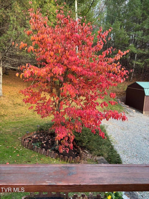 Photo #82: 5191 Highway 421 