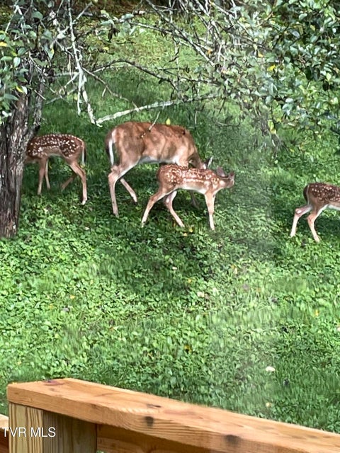 Photo #72: 5191 Highway 421 