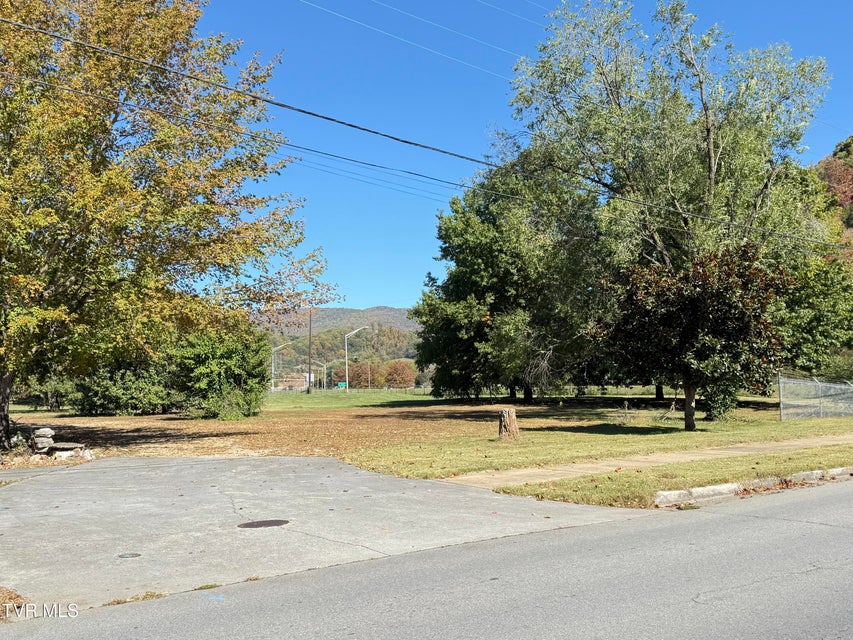 Photo #7: 0 Elk Avenue