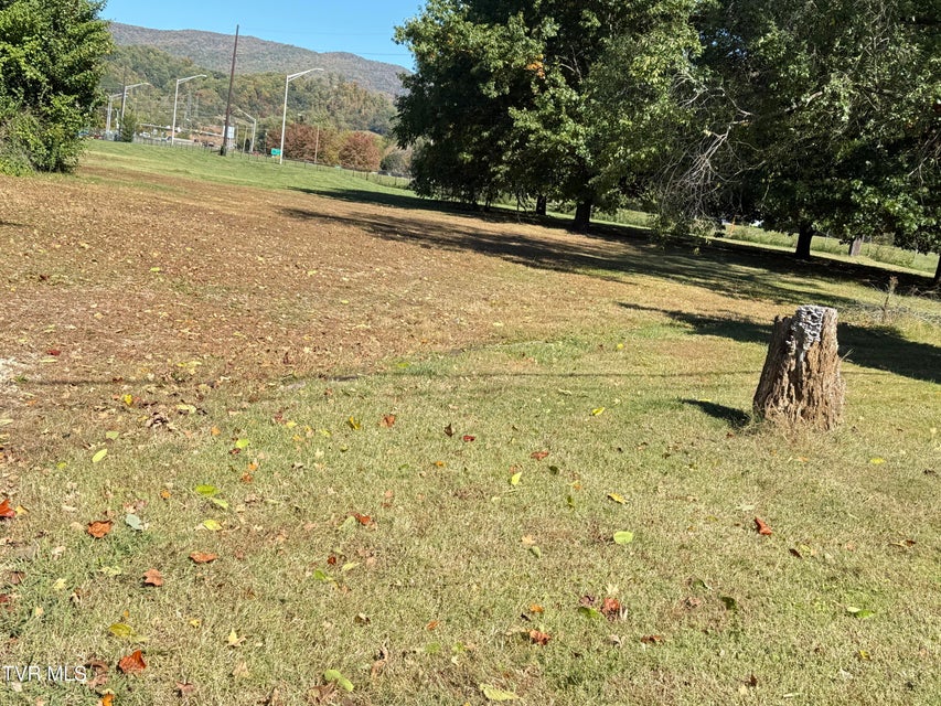 Photo #15: 0 Elk Avenue