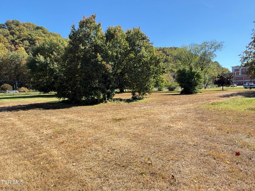 Photo #16: 0 Elk Avenue