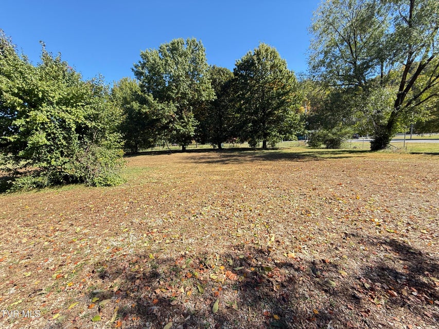 Photo #18: 0 Elk Avenue