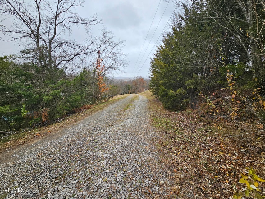 Photo #2: 493 Banners Corner Road