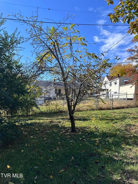 Photo #53: 526 Mount Ida Place