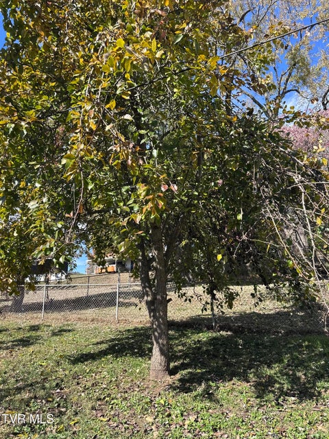 Photo #54: 526 Mount Ida Place