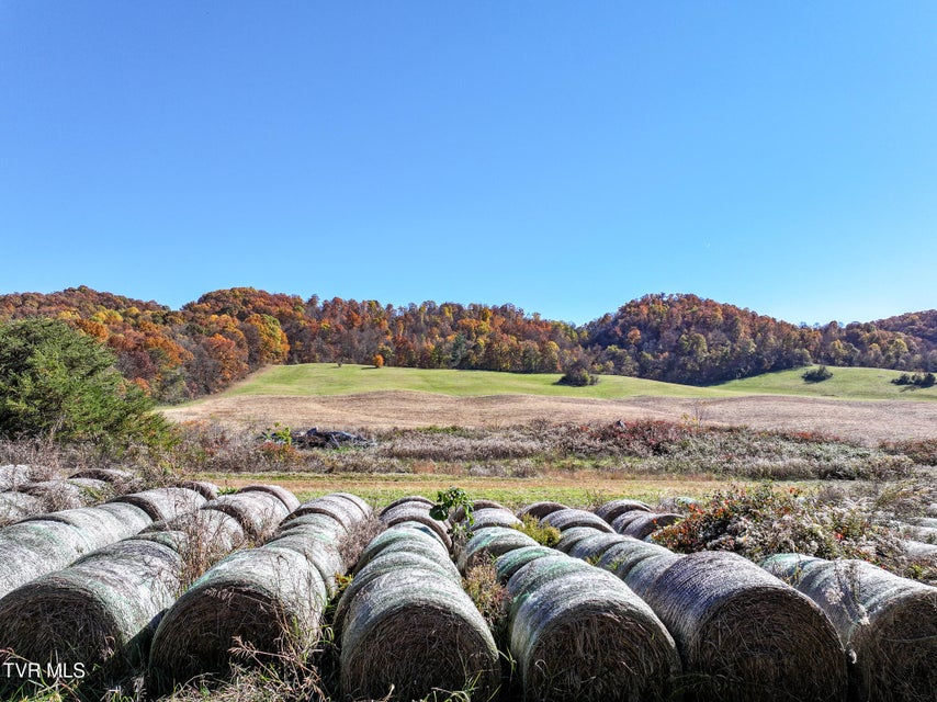 Photo #2: 5360 Old Snapps Ferry Road