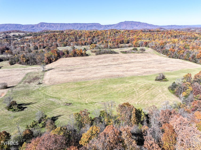 Photo #3: 5360 Old Snapps Ferry Road