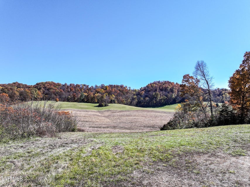 Photo #11: 5360 Old Snapps Ferry Road