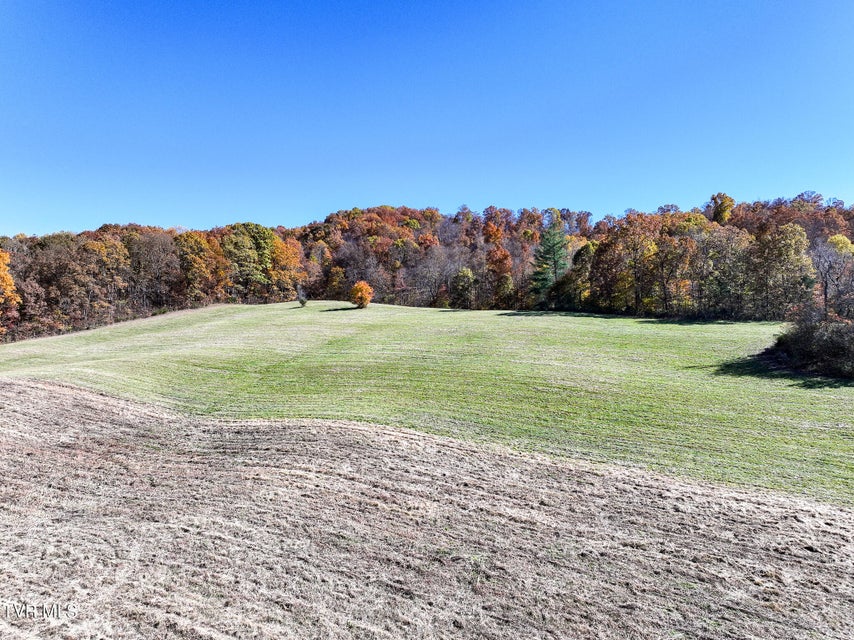 Photo #14: 5360 Old Snapps Ferry Road