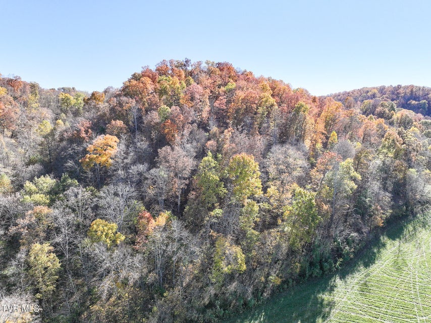 Photo #15: 5360 Old Snapps Ferry Road