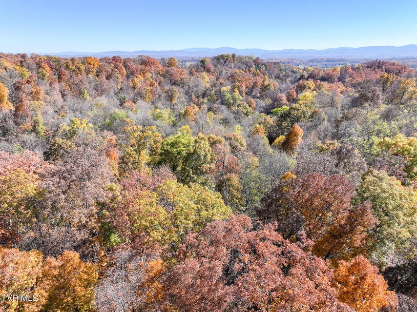 Photo #16: 5360 Old Snapps Ferry Road