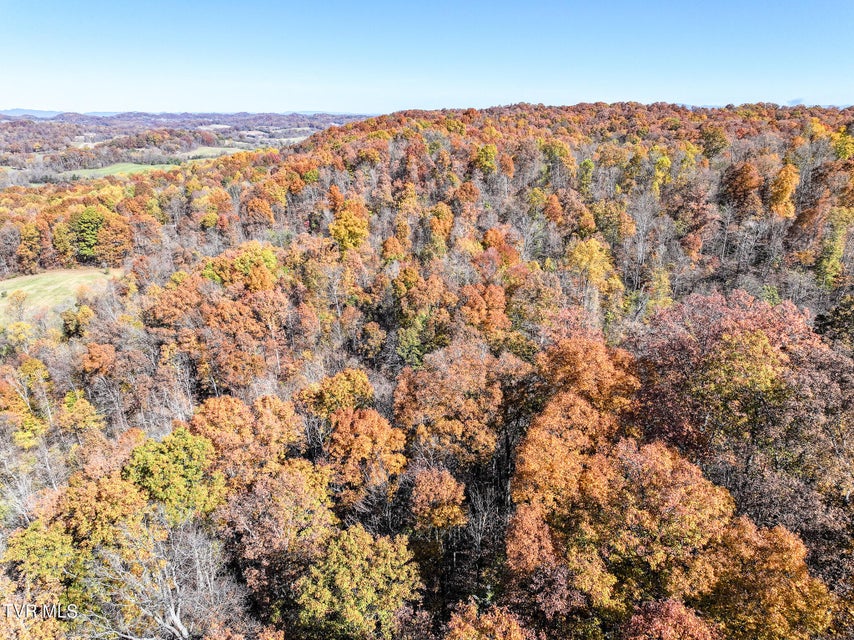 Photo #17: 5360 Old Snapps Ferry Road