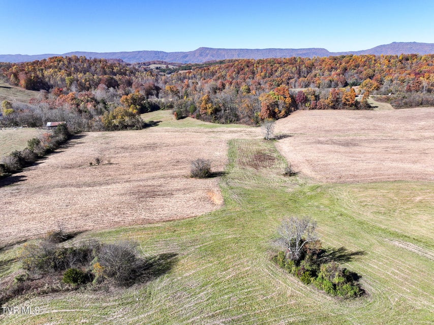 Photo #18: 5360 Old Snapps Ferry Road