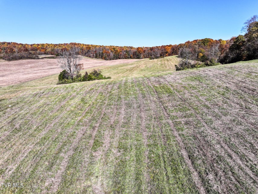 Photo #20: 5360 Old Snapps Ferry Road