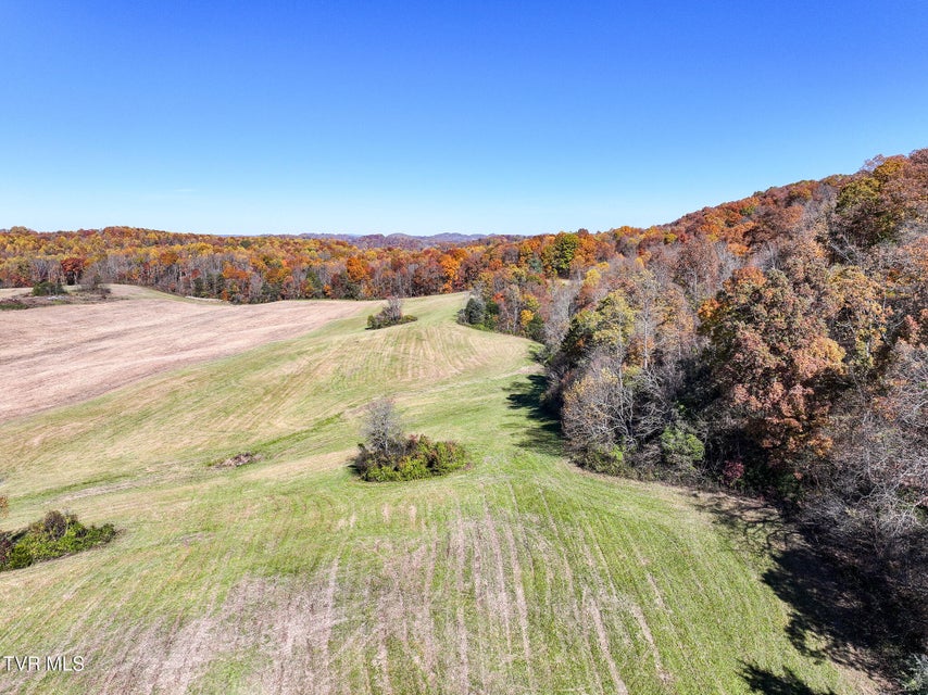 Photo #21: 5360 Old Snapps Ferry Road