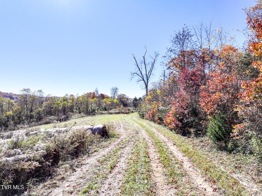 Photo #28: 5360 Old Snapps Ferry Road