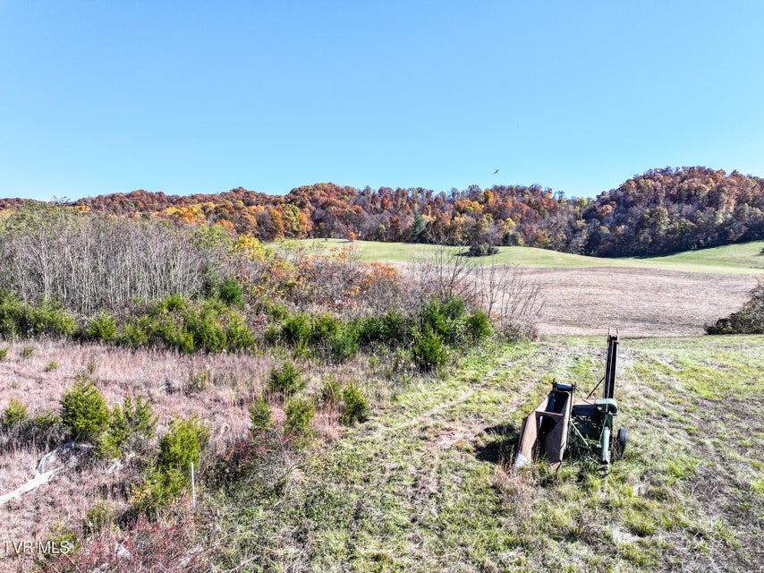 Photo #30: 5360 Old Snapps Ferry Road