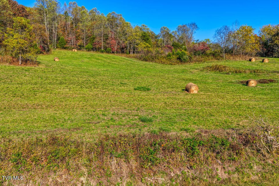 Photo #22: 275 Wake Forest Road