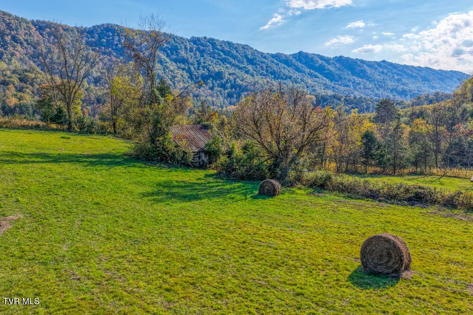 Photo #30: 275 Wake Forest Road