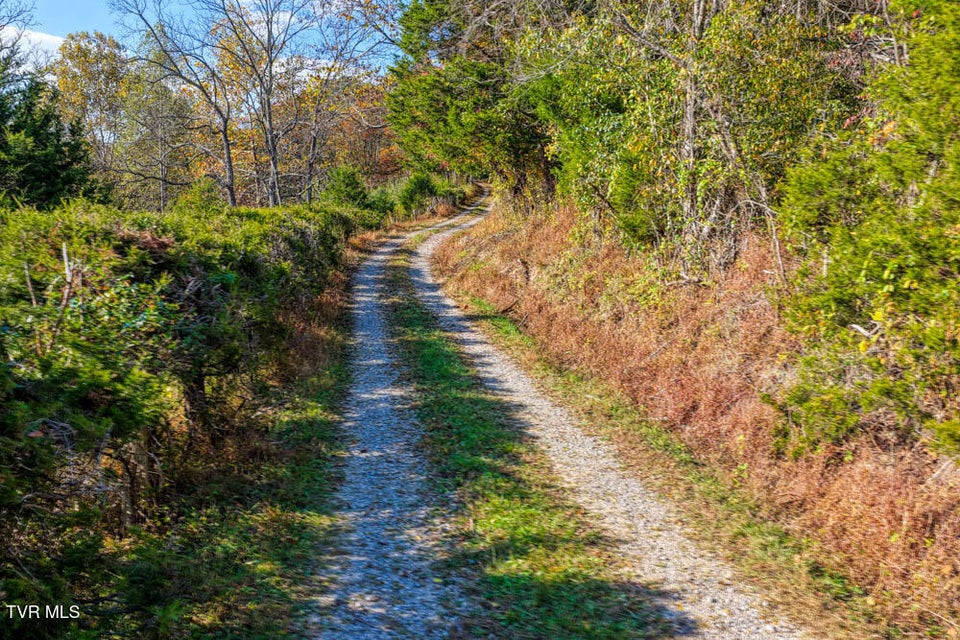 Photo #42: 275 Wake Forest Road