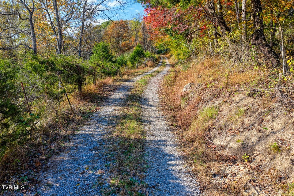 Photo #43: 275 Wake Forest Road