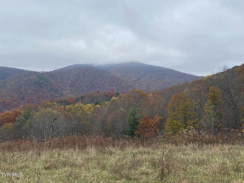 Photo #25: 214 Comers Creek Road