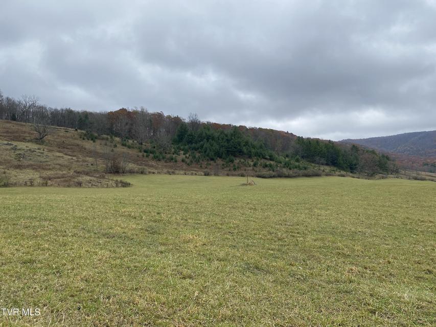 Photo #36: 214 Comers Creek Road