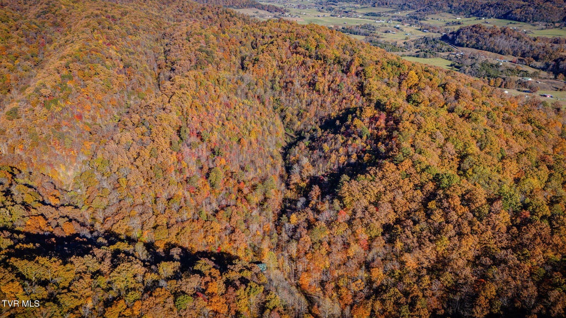 Photo #45: 1370 Hickory Cove Road