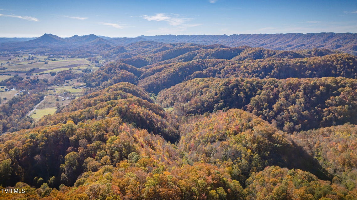 Photo #48: 1370 Hickory Cove Road