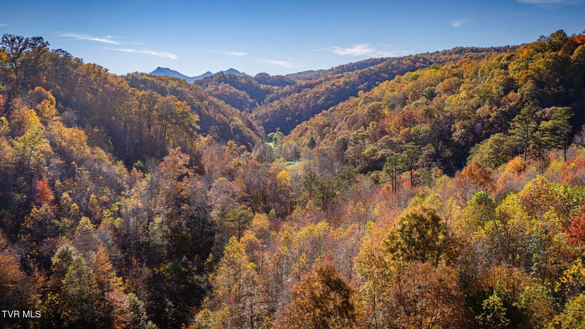 Photo #49: 1370 Hickory Cove Road