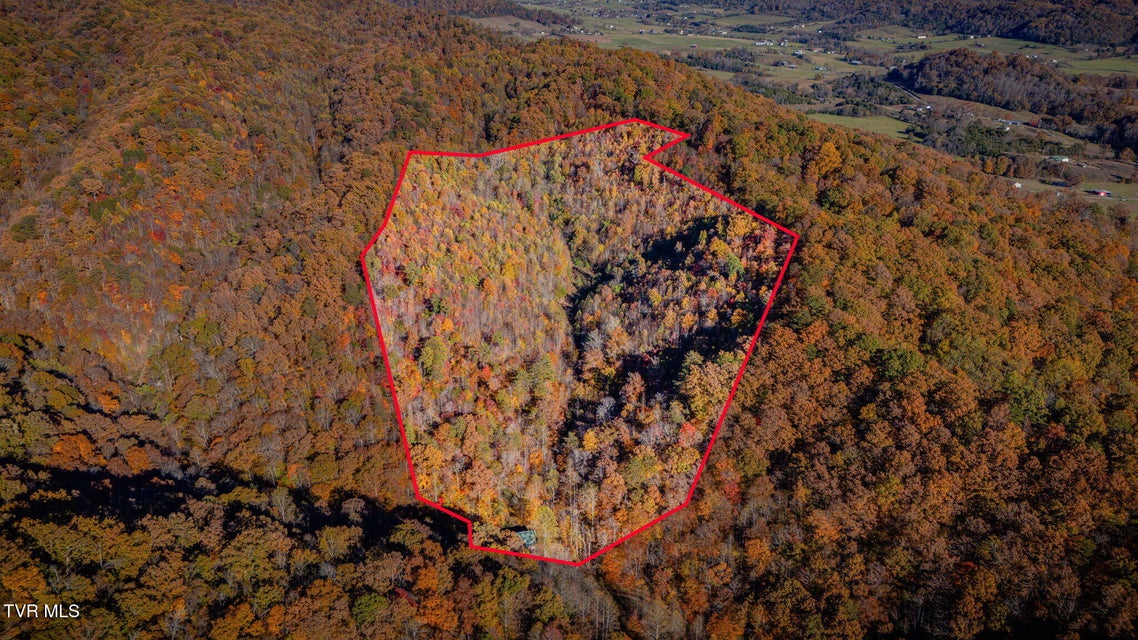 Photo #51: 1370 Hickory Cove Road