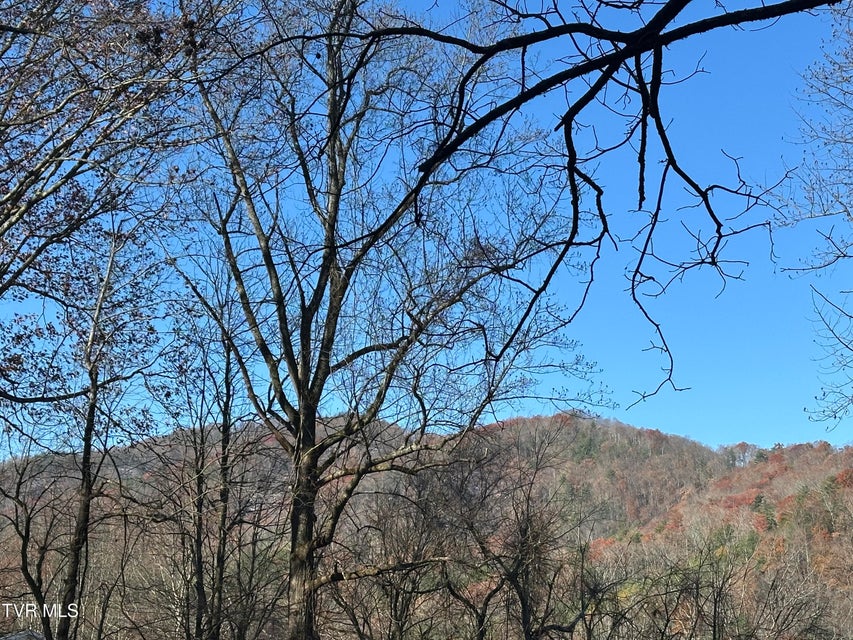 Photo #3: Tbd Old Hwy Road